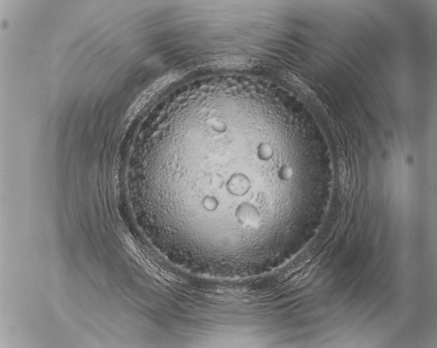 X0000057090487200509231654