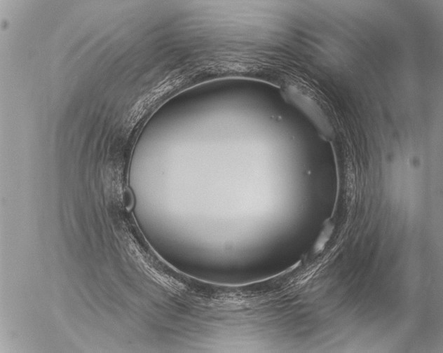 X0000057090489200509231654