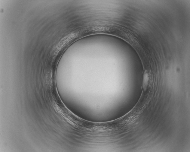 X0000057090490200509231653