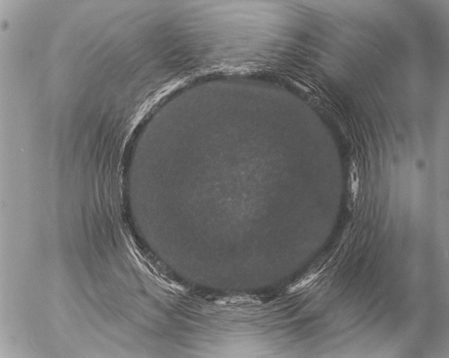 X0000057090492200509231653