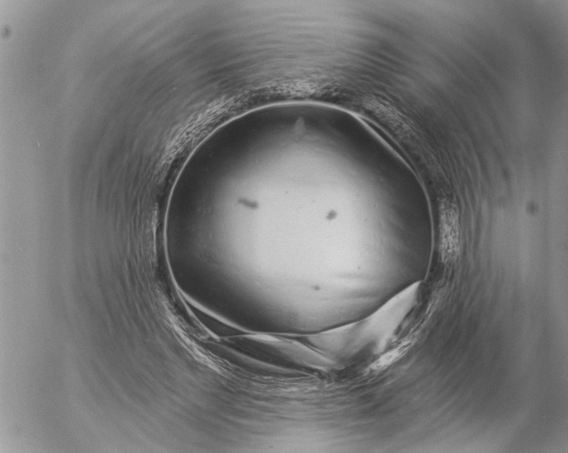 X0000057090493200509231653