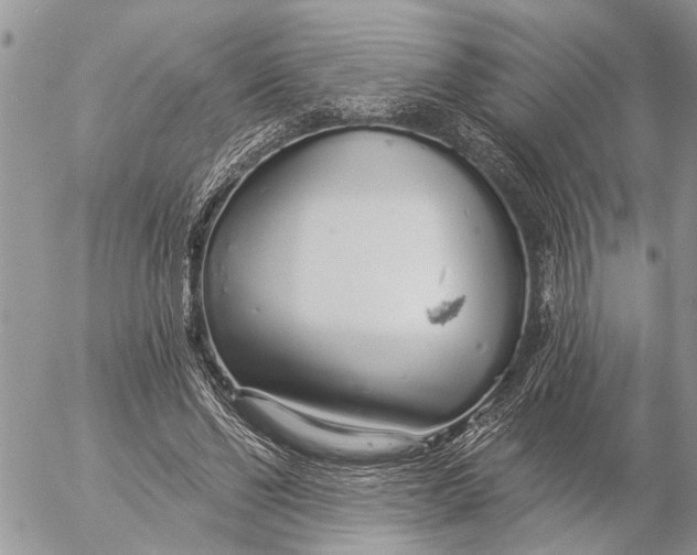 X0000057090494200509231653