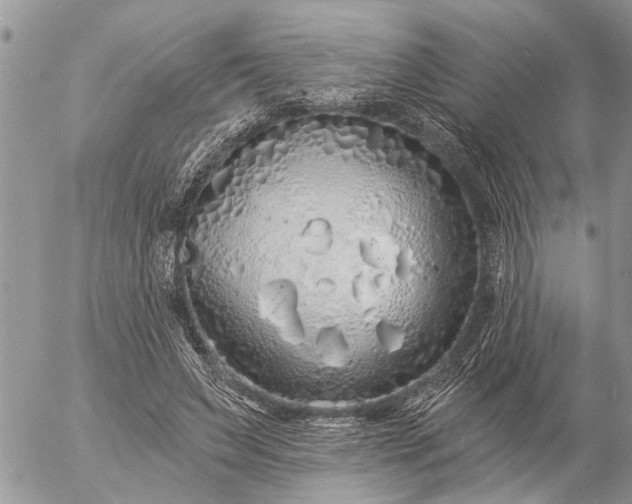 X0000057090495200509231653