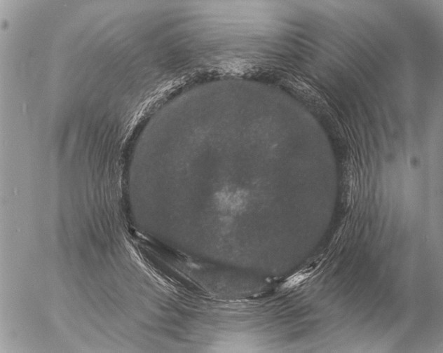 X0000057090496200509231653