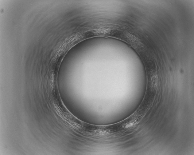 X0000057090498200509231653