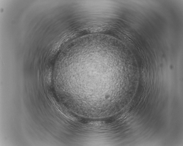 X0000057090499200509231653