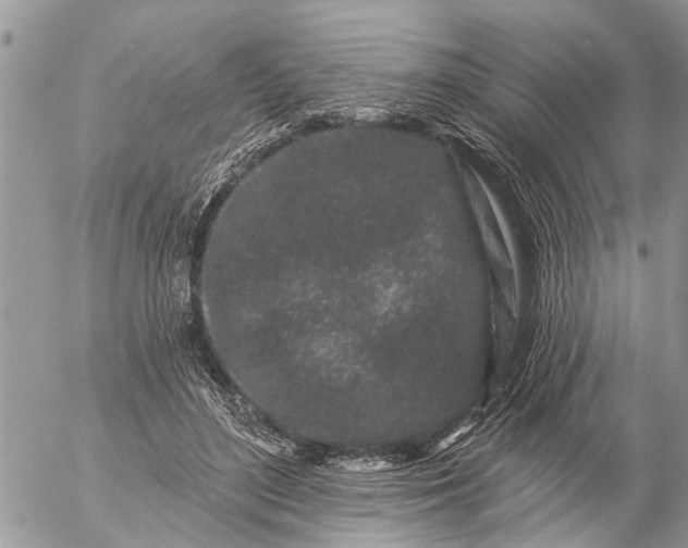 X0000057090500200509231653