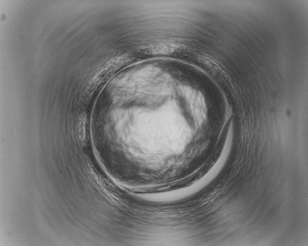 X0000057090501200509231653