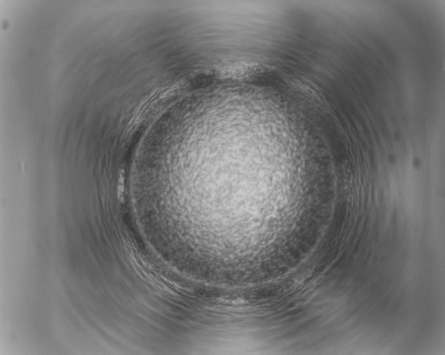 X0000057090502200509231653