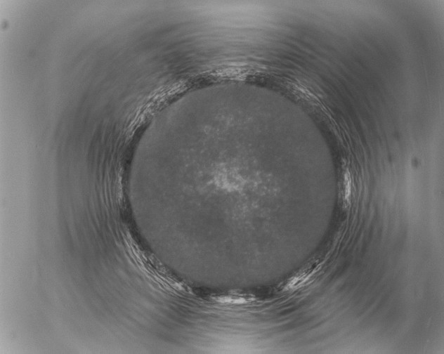 X0000057090504200509231653