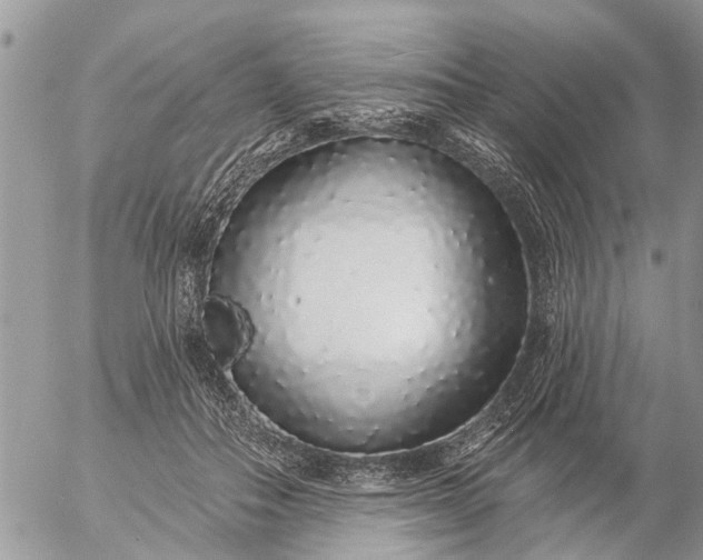 X0000057090506200509231653