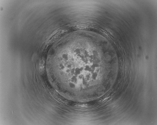 X0000057090507200509231653