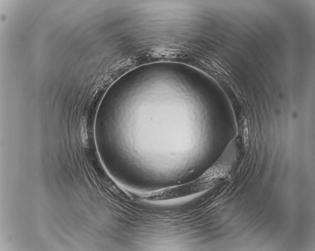 X0000057090508200509231653