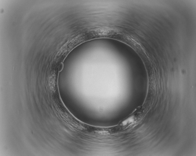 X0000057090509200509231653