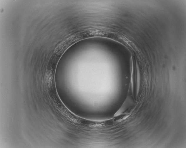 X0000057090513200509231653