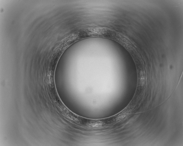 X0000057090514200509231653