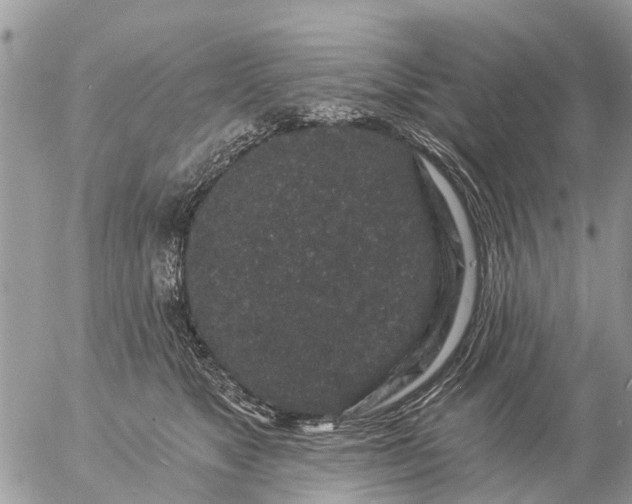 X0000057090517200509231653