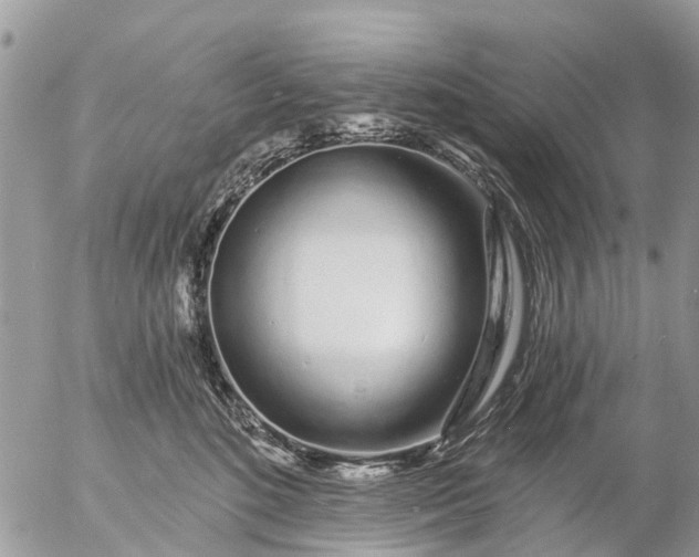 X0000057090520200509231653