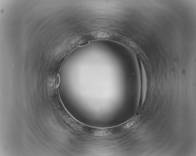 X0000057090521200509231653