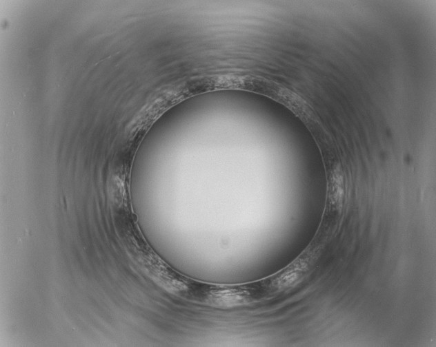 X0000057090522200509231653