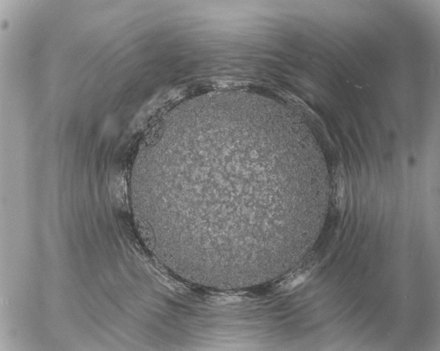 X0000057090523200509231653