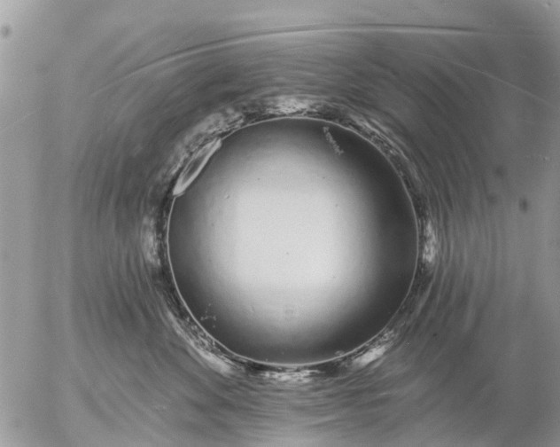 X0000057090524200509231653