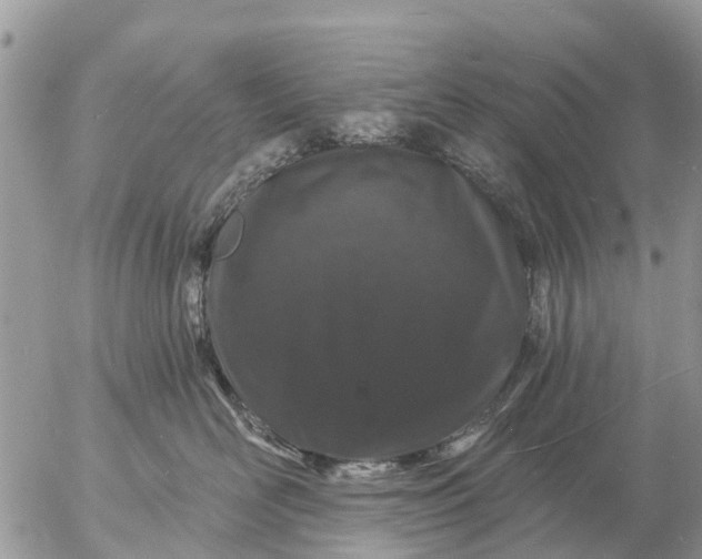 X0000057090526200509231653