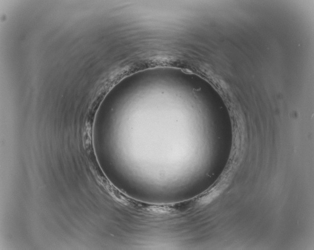 X0000057090528200509231653