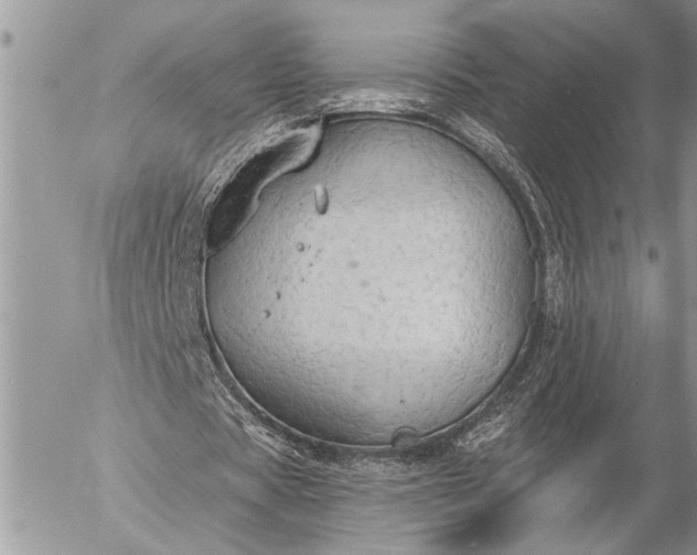 X0000057090529200509231652