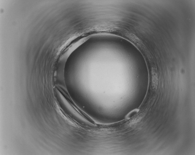 X0000057090530200509231652