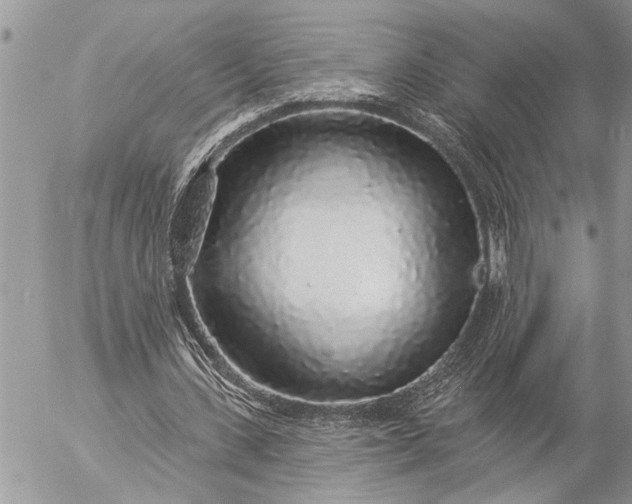 X0000057090531200509231652