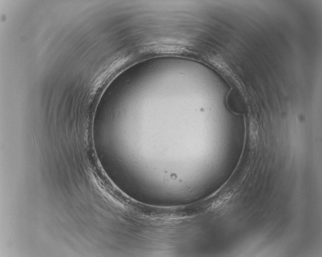 X0000057090533200509231652