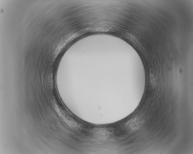 X0000057090534200509231652