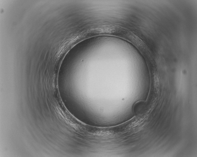 X0000057090537200509231652