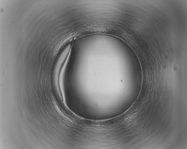 X0000057090538200509231652