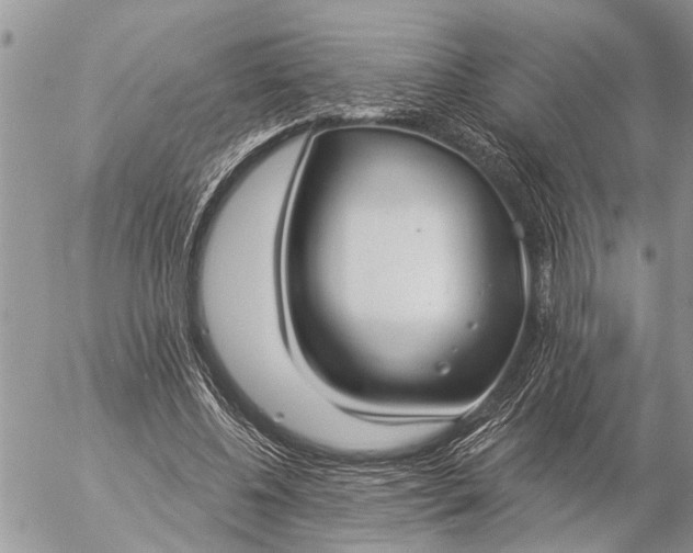 X0000057090540200509231652