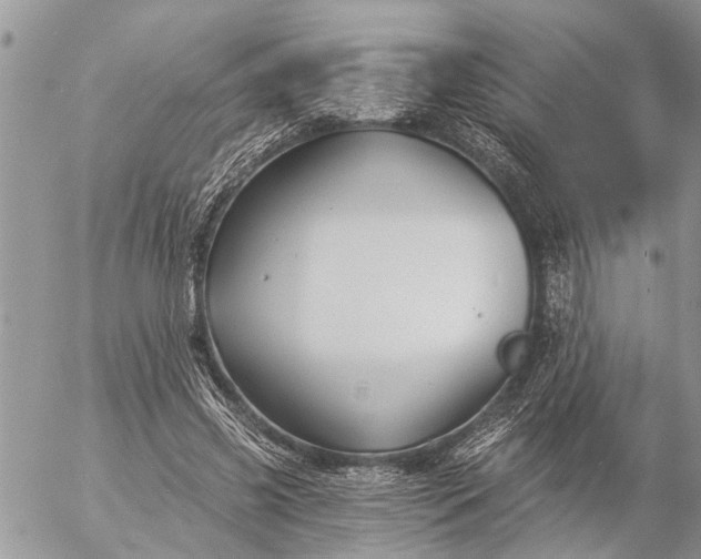 X0000057090541200509231652