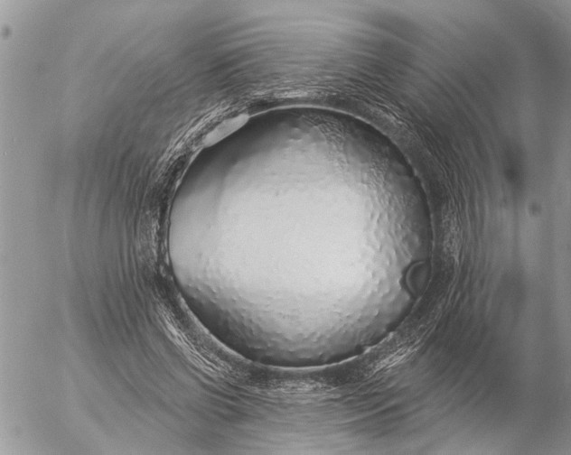 X0000057090542200509231652