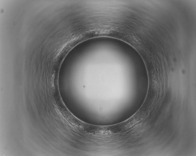 X0000057090543200509231652