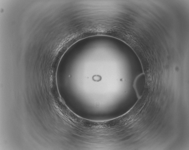 X0000057090544200509231652