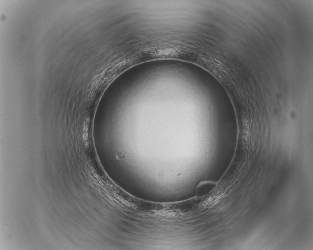 X0000057090545200509231652