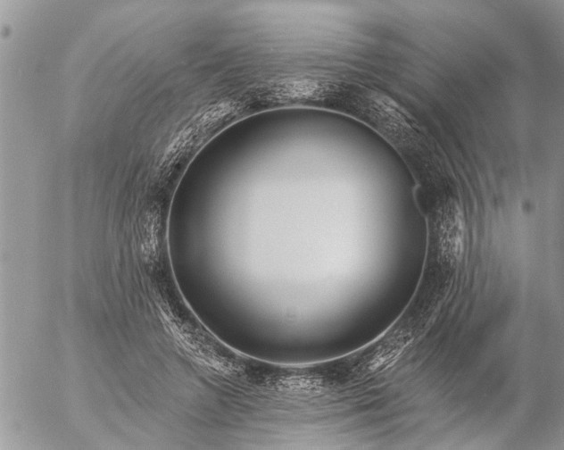 X0000057090546200509231652