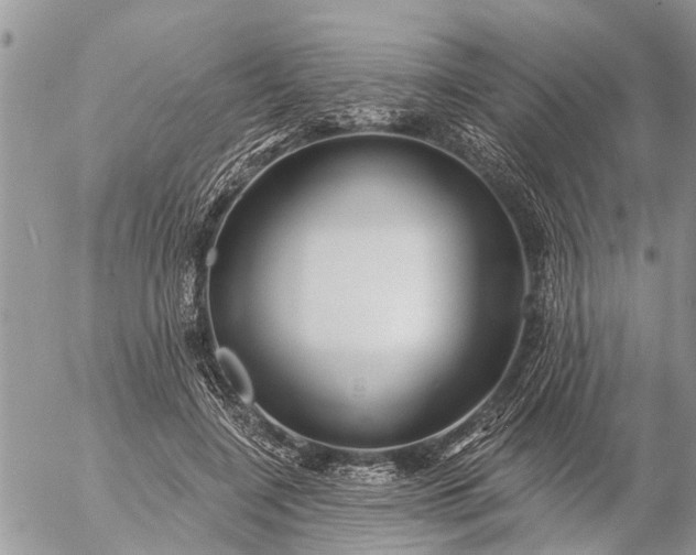 X0000057090548200509231652