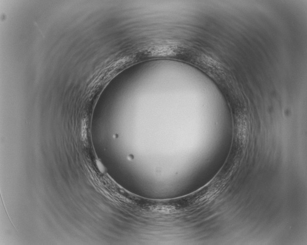 X0000057090549200509231652