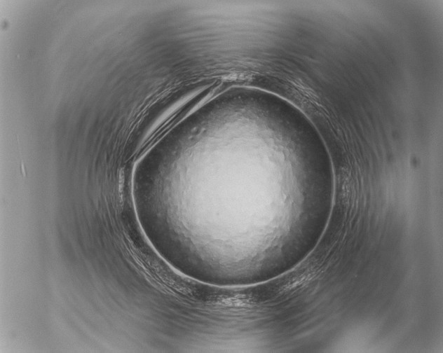 X0000057090550200509231652