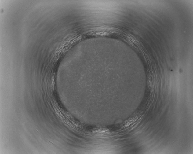 X0000057090551200509231652