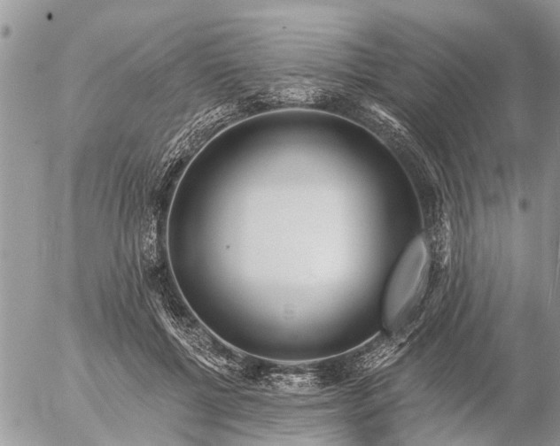 X0000057090552200509231652