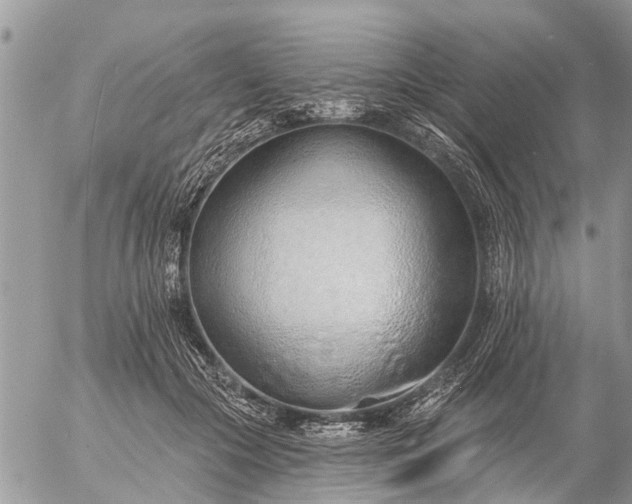 X0000057090553200509231652