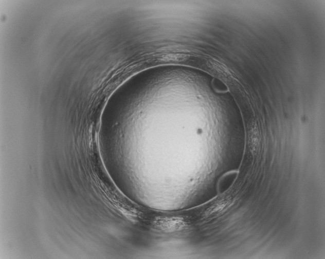 X0000057090554200509231652