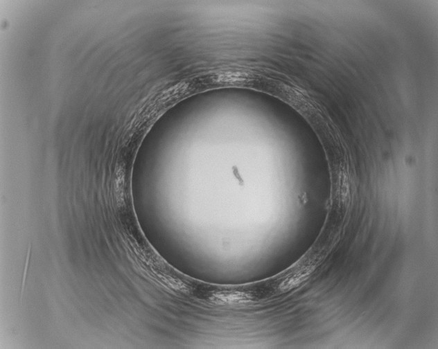 X0000057090557200509231653